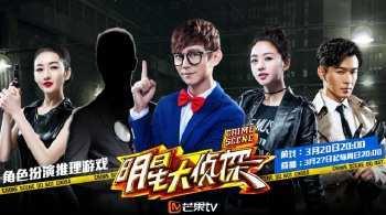 明星大侦探的真实,揭秘悬疑背后的真相与智慧较量