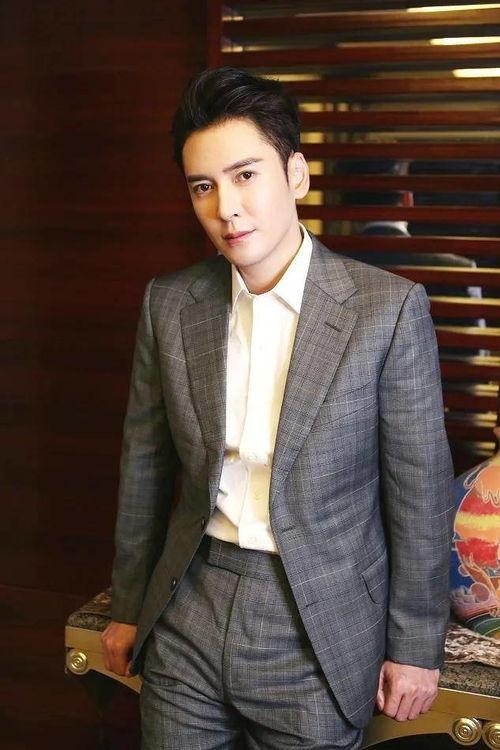 男明星东,星光璀璨的影视界璀璨之星